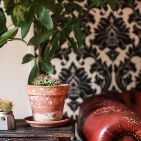 Coliving Trastevere ローマ エクステリア 写真